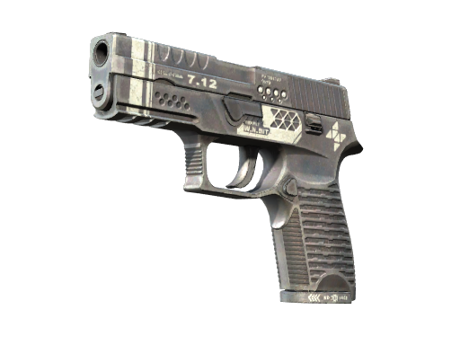 P250 | Re.built float preview