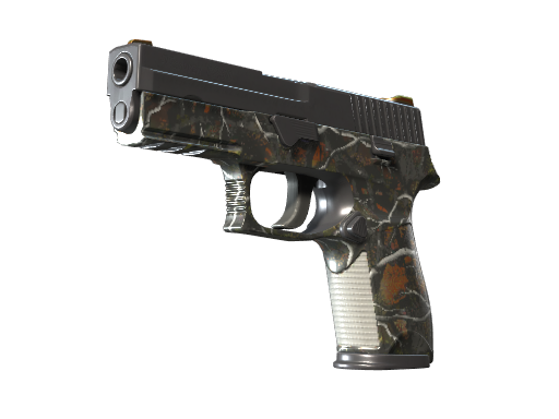 P250 | Small Game float preview