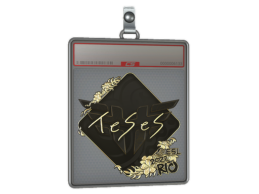 Sticker Slab | TeSeS (Gold) | Rio 2022