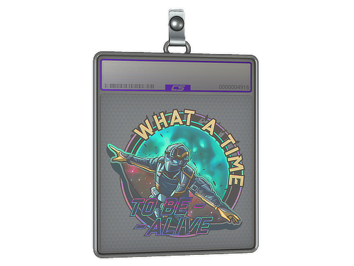 Sticker Slab | Wingsuit (Holo)